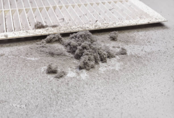 Best Affordable HVAC Duct Cleaning  in Ruskin, FL