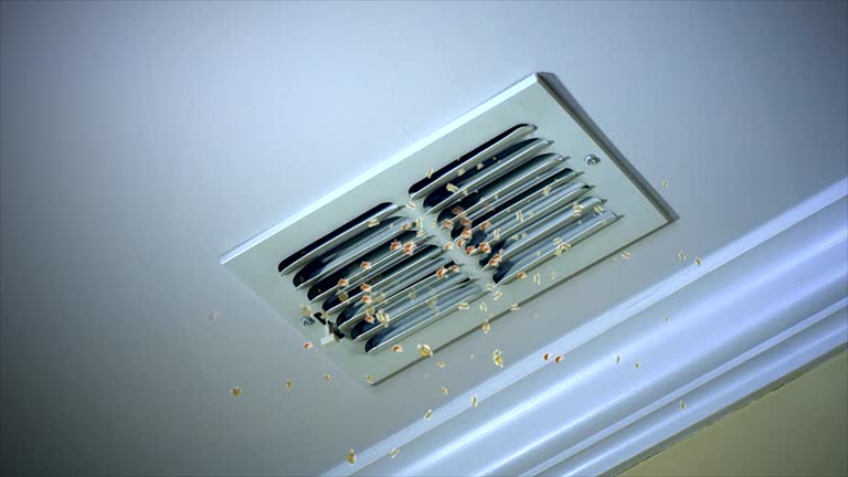 Best Air Duct Cleaning Near Me  in Ruskin, FL