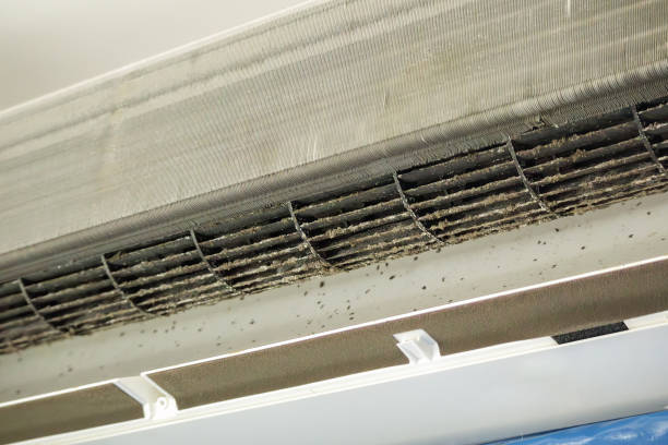 Best Air Duct Inspection  in Ruskin, FL